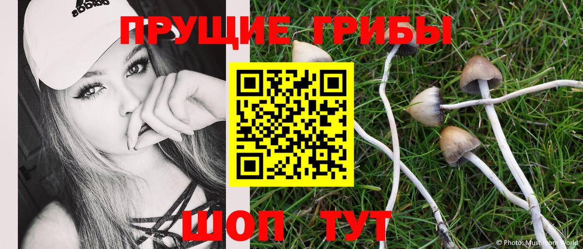 Галлюциногенные грибы прущие грибы  Вход с VPN  Бузулук 